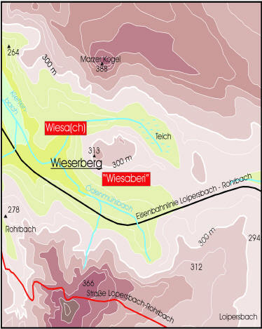 Zu sehen ist der so genannte "Wieserberg" südlich des Marzer Kogels.