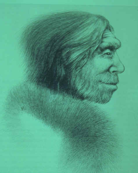 Bild eines Neandertalers